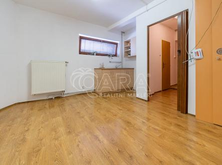 Pronájem bytu, 1+kk, 15 m²