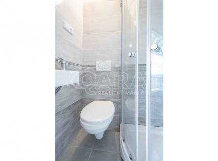 Pronájem bytu, 1+kk, 12 m²