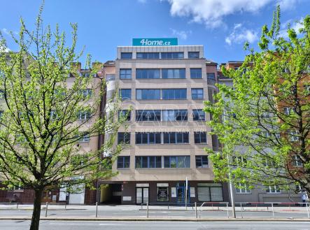 Pronájem kanceláře, 240 m²