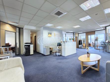 Pronájem kanceláře, 240 m²