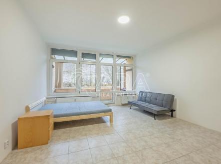 Pronájem bytu, 1+kk, 32 m²