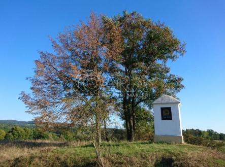 Prodej pozemku pro bydlení, 1 317 m²