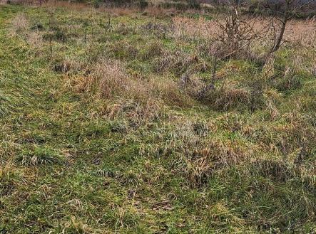 Prodej pozemku pro bydlení, 1 317 m²