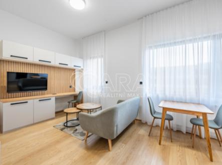 Pronájem bytu, 1+kk, 35 m²