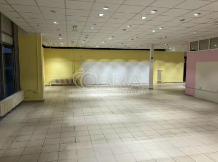 Pronájem obchodní prostor, 280 m²