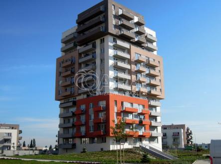 Pronájem bytu, 1+kk, 42 m²