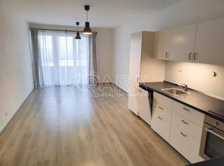 Pronájem bytu, 1+kk, 42 m²