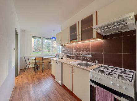 Pronájem bytu, 3+1, 67 m²