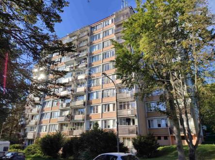 Pronájem bytu, 2+1, 47 m²