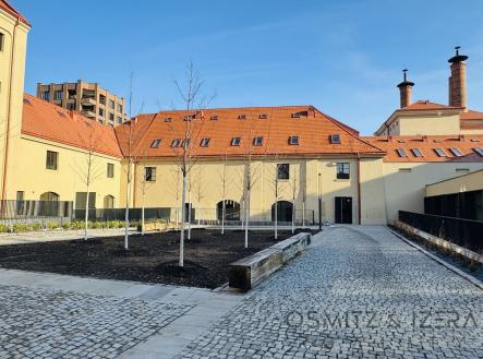 Pronájem bytu, 2+kk, 49 m²