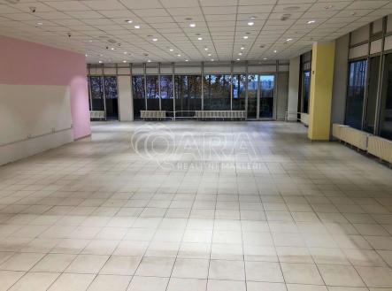 Pronájem obchodní prostor, 280 m²