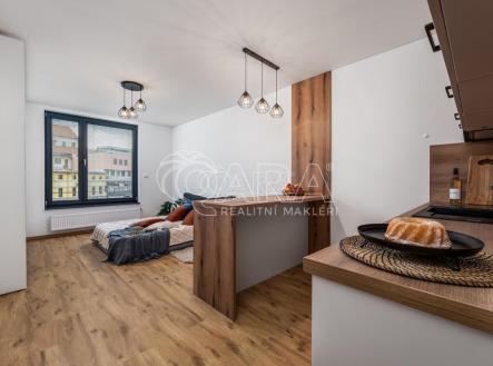 Pronájem bytu, 1+kk, 31 m²