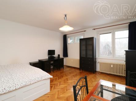 Pronájem bytu, 1+1, 45 m²