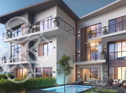 Orchid Casel de Paradise.