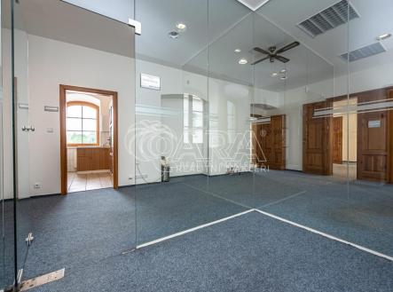 Pronájem obchodní prostor, 298 m²