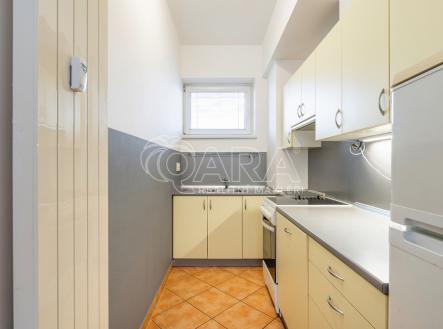 Pronájem bytu, 1+kk, 48 m²