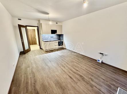 Pronájem bytu, 1+kk, 38 m²