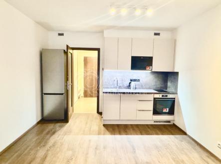 Pronájem bytu, 1+kk, 38 m²