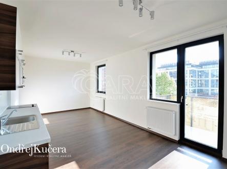 Pronájem bytu, 1+kk, 38 m²