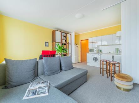 Prodej bytu, 1+kk, 33 m²