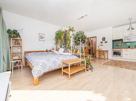 Prodej bytu, 1+kk, 43 m²