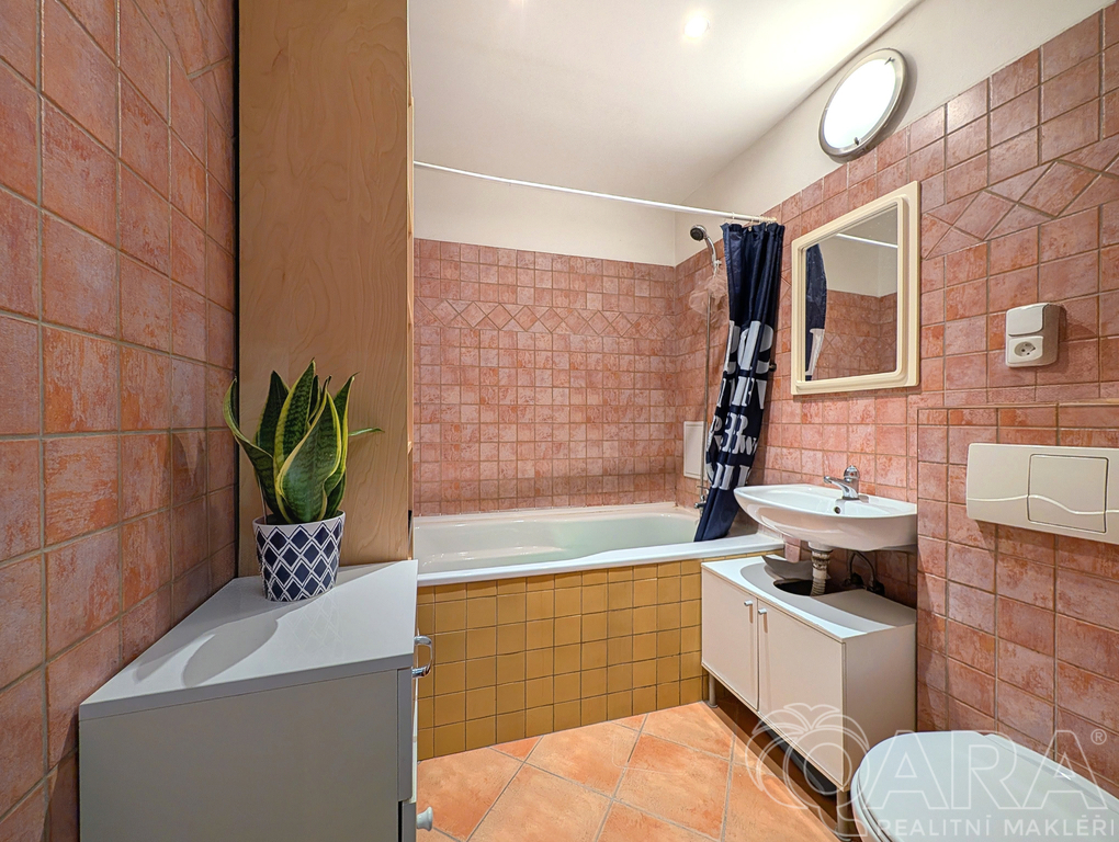 Fotku se nepodařilo načíst.