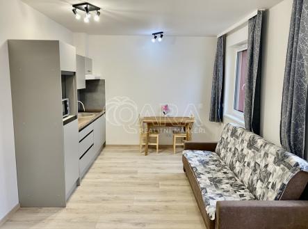 Pronájem bytu, 1+kk, 36 m²