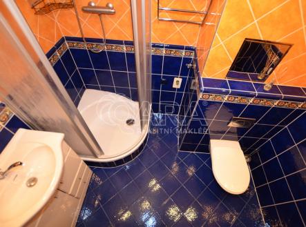 Pronájem bytu, 1+1, 38 m²