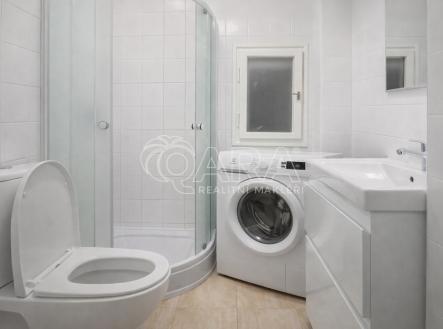 Pronájem bytu, 1+kk, 22 m²