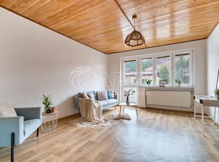 Pronájem bytu, 3+1, 583 m²