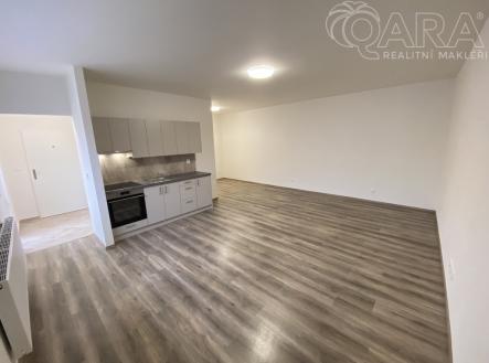 Pronájem bytu, 1+kk, 42 m²