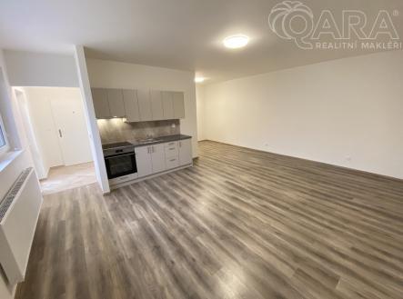 Pronájem bytu, 1+kk, 42 m²
