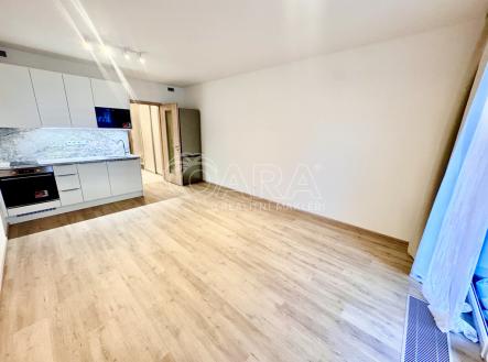 Pronájem bytu, 1+kk, 38 m²
