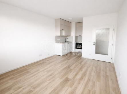 Pronájem bytu, 2+kk, 48 m²