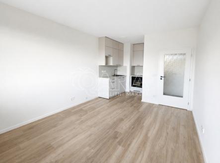 Pronájem bytu, 2+kk, 48 m²
