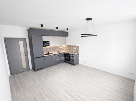 Pronájem bytu, 2+kk, 49 m²