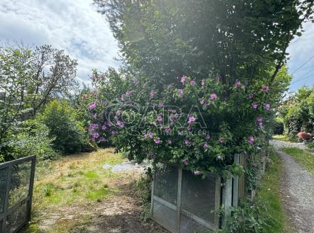 Prodej domu/vily, 55 m²