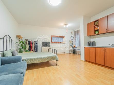 Prodej bytu, 1+kk, 53 m²