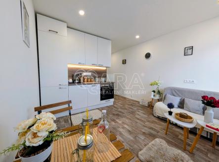 Prodej bytu, 1+kk, 20 m²