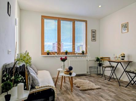 Prodej bytu, 1+kk, 20 m²