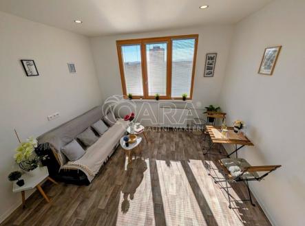 Prodej bytu, 1+kk, 21 m²