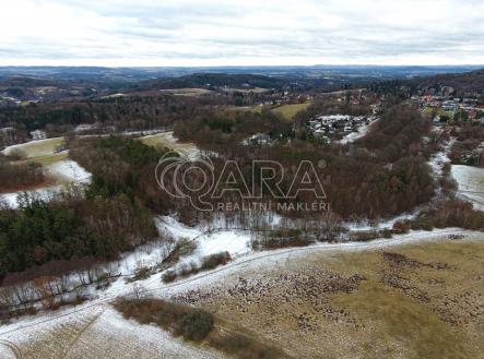 Prodej pozemku, les, 19 731 m²