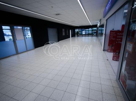 Pronájem obchodní prostor, 55 m²