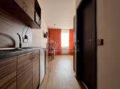 Pronájem bytu, 1+kk, 21 m²