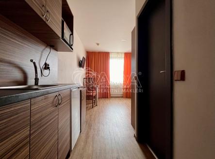 Pronájem bytu, 1+kk, 21 m² obrázek