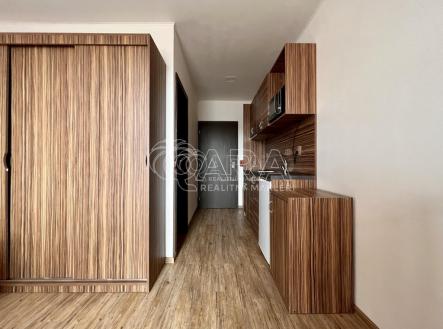 Pronájem bytu, 1+kk, 21 m²