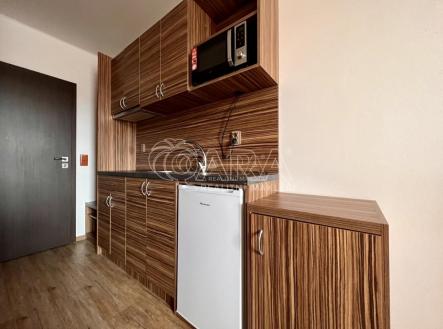 Pronájem bytu, 1+kk, 21 m²
