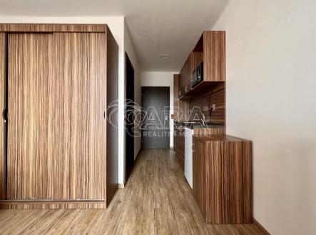 Pronájem bytu, 1+kk, 21 m²