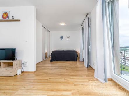 Pronájem bytu, 1+kk, 61 m²