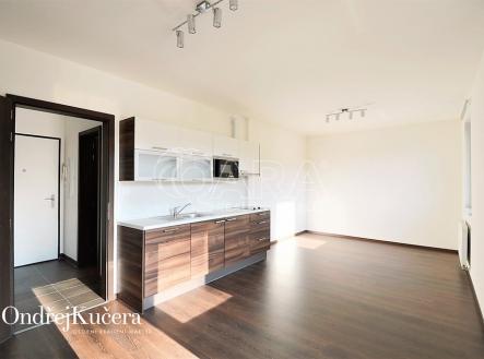 Pronájem bytu, 1+kk, 38 m²